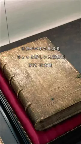 フォーユー｜東京発 ▷イベント・お出かけ・旅行のTikTok投稿