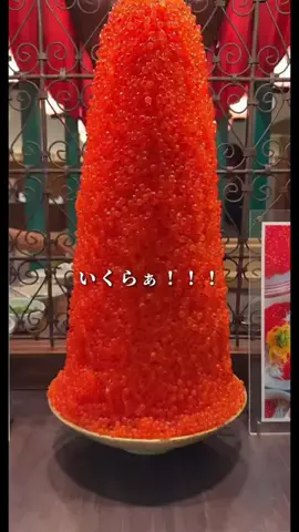 一度は行きたい極上ホテルのTikTok投稿