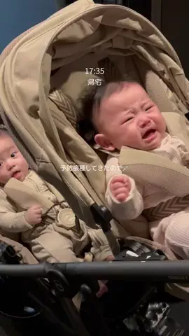 たまごちゃんのTikTok投稿