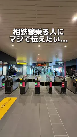 えびなびのTikTok投稿