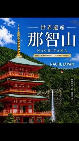 yochan.0303のTikTok投稿