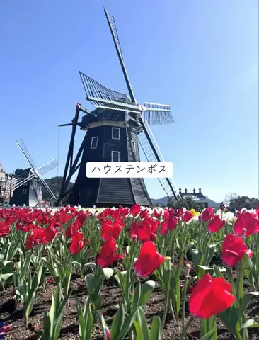 ホカンス日記 🌿のTikTok投稿