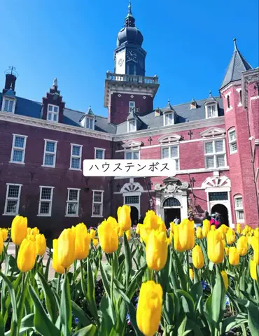 ホカンス日記 🌿のTikTok投稿