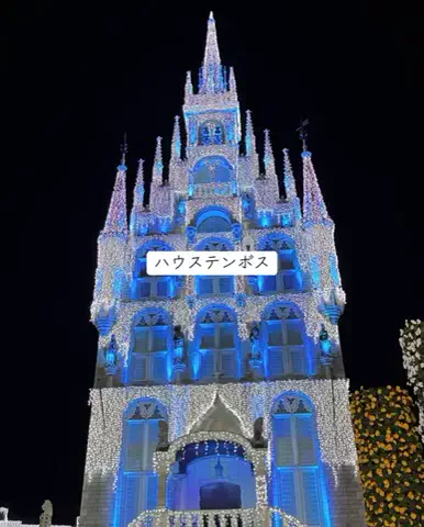 ホカンス日記 🌿のTikTok投稿