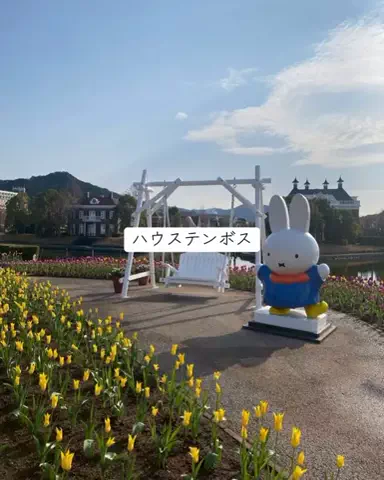 ホカンス日記 🌿のTikTok投稿