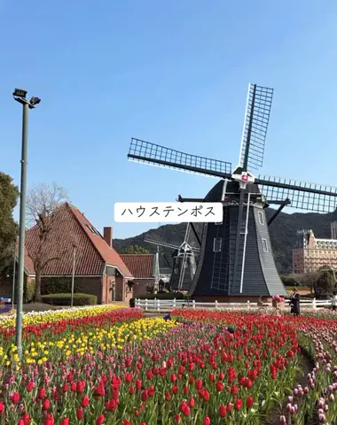 ホカンス日記 🌿のTikTok投稿