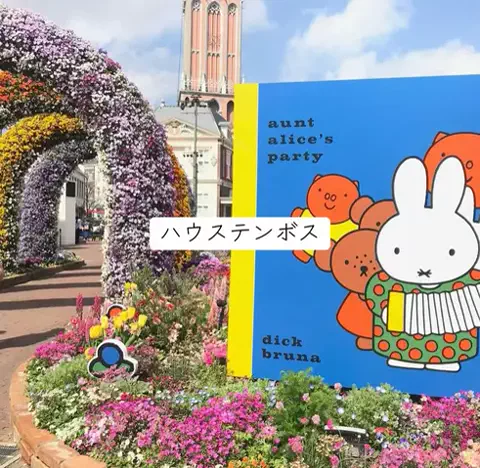 ホカンス日記 🌿のTikTok投稿