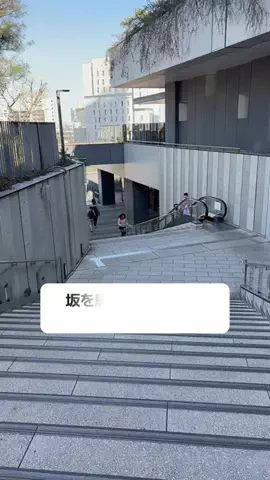 LICCAのTikTok投稿