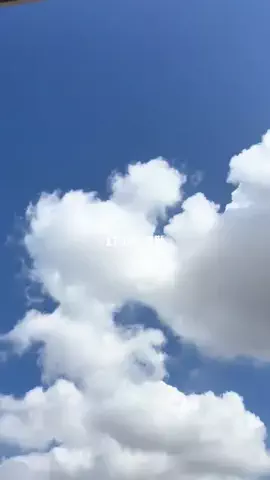 oto.11.5のTikTok投稿