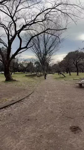 LICCAのTikTok投稿