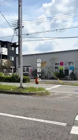 ama_gurumeguriのTikTok投稿
