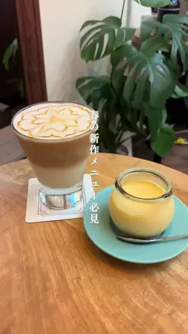 ama_gurumeguriのTikTok投稿