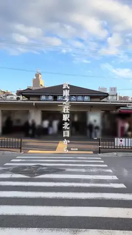 ama_gurumeguriのTikTok投稿
