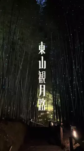Carry🇯🇵(キャリー)のTikTok投稿