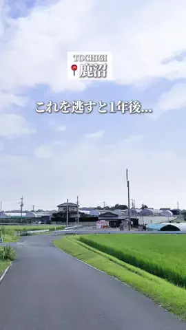 あいペコ￤栃木デート&グルメのTikTok投稿