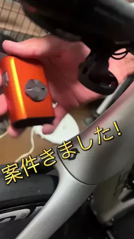 しらすのTikTok投稿