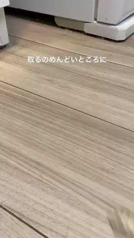 ひよ⌇ずぼらが沼る暮らしのアイデアのTikTok投稿
