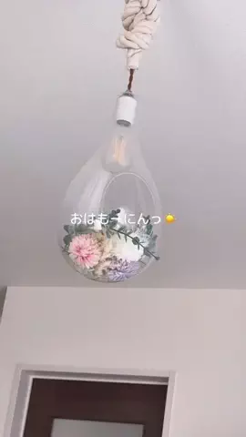 SOのTikTok投稿
