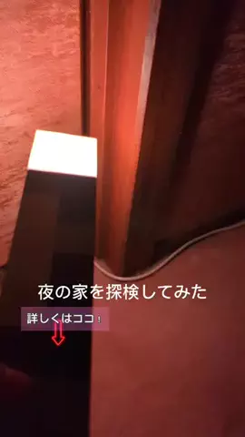 るるちゃんねるのTikTok投稿
