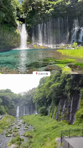 ^ ^のTikTok投稿