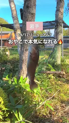 みーこ|岩手発▶︎子連れお出かけ＆旅行のTikTok投稿