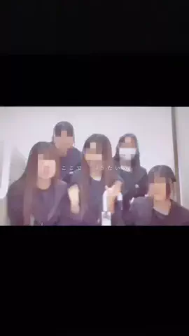 ぴーこにのTikTok投稿