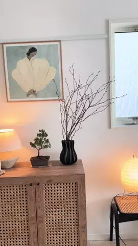 部屋と植物さんのTikTok投稿