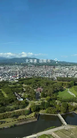 ふぃな / FinaのTikTok投稿