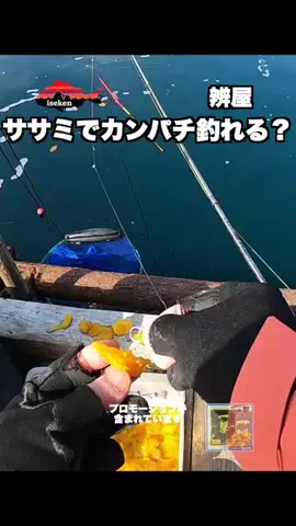伊勢志摩つりとも研究所のTikTok投稿