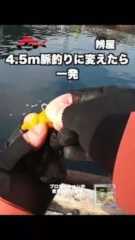 伊勢志摩つりとも研究所のTikTok投稿