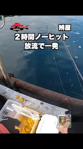 伊勢志摩つりとも研究所のTikTok投稿