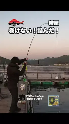 伊勢志摩つりとも研究所のTikTok投稿