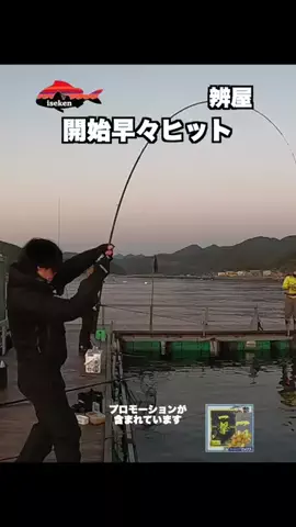 伊勢志摩つりとも研究所のTikTok投稿