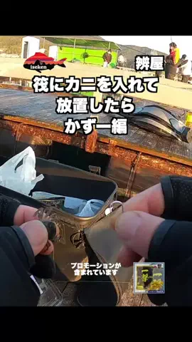 伊勢志摩つりとも研究所のTikTok投稿
