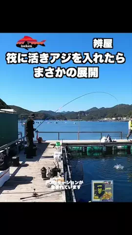 伊勢志摩つりとも研究所のTikTok投稿