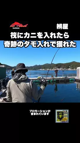 伊勢志摩つりとも研究所のTikTok投稿