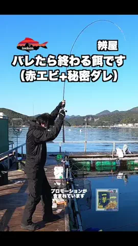 伊勢志摩つりとも研究所のTikTok投稿