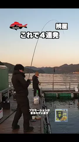 伊勢志摩つりとも研究所のTikTok投稿