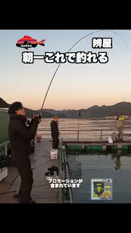 伊勢志摩つりとも研究所のTikTok投稿