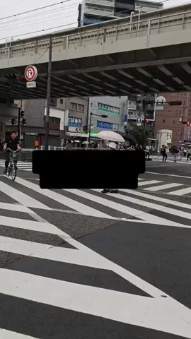 ゴリラマイスター（旅）のTikTok投稿