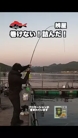 伊勢志摩つりとも研究所のTikTok投稿