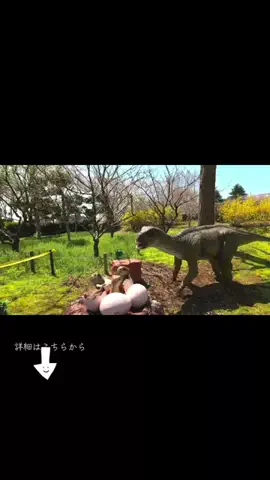 user55863167506のTikTok投稿
