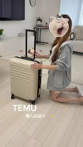 SのTikTok投稿