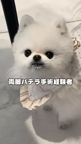 ハヌルのTikTok投稿
