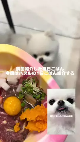 ハヌルのTikTok投稿