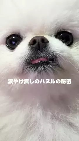 ハヌルのTikTok投稿