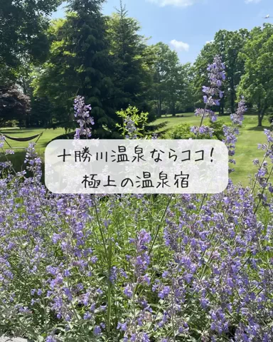 Luna＊旅とTOKACHIメモのTikTok投稿