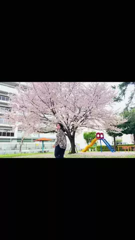 moreofJAPANのTikTok投稿