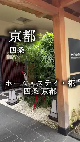 アルコールのひとのTikTok投稿