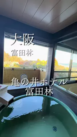 アルコールのひとのTikTok投稿